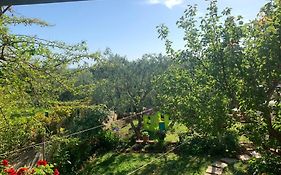 Apartman Dalija
