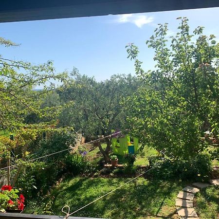 Apartman Dalija Vinkuran Kültér fotó